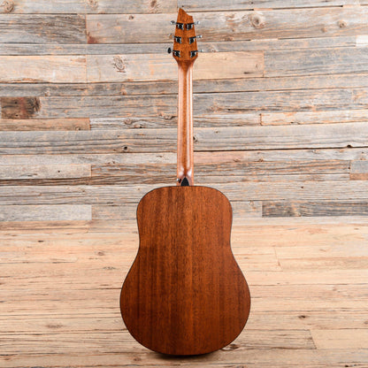 Breedlove Passport D20/FS Natural 2009 Acoustic Guitars / Dreadnought