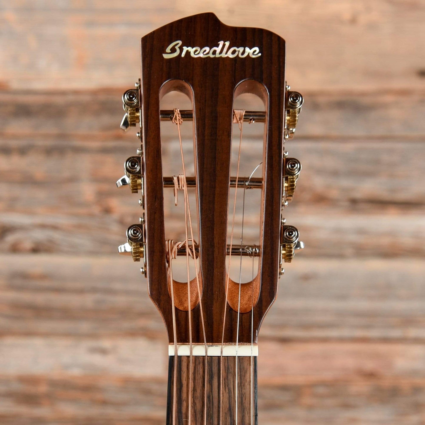 Breedlove Pursuit Parlor PSP21E Natural Acoustic Guitars / Parlor