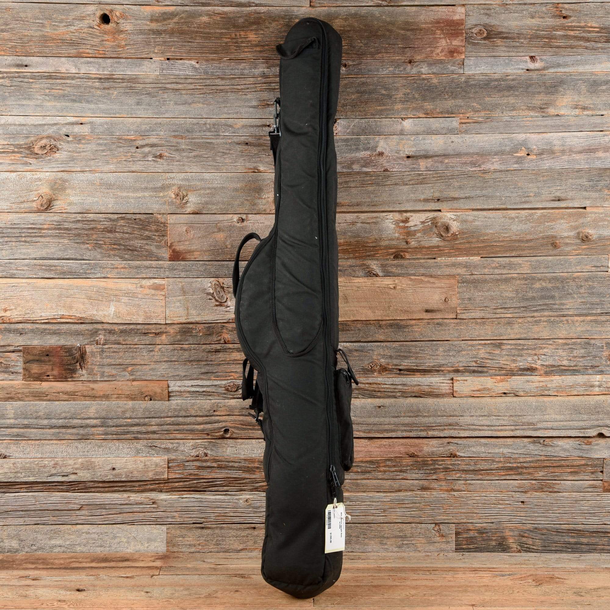 BSX Electric Upright Bass – Chicago Music Exchange