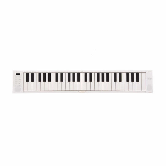 Carry-On Folding Piano 49-Key Keyboards and Synths / Digital Pianos