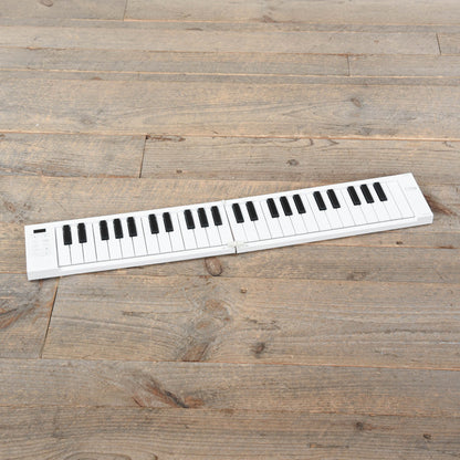 Carry-On Folding Piano 49-Key Keyboards and Synths / Digital Pianos