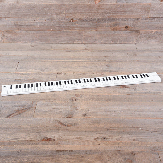Carry-On Folding Piano 88-Key Keyboards and Synths / Digital Pianos
