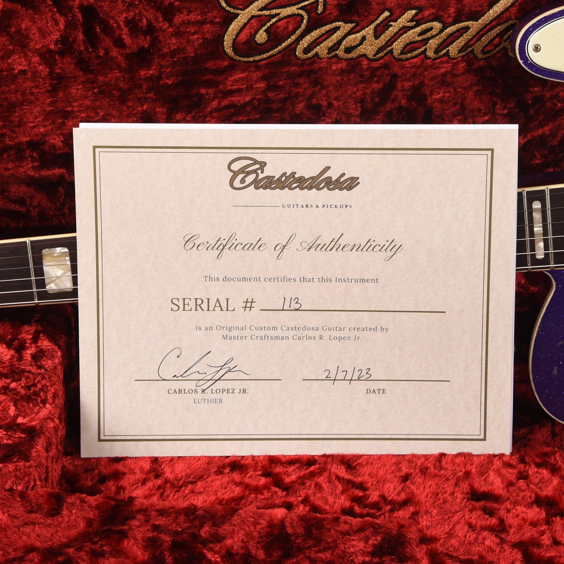 Castedosa Marianna Semi-Hollow Aged Purple Sparkle w/Dove Half Guard Electric Guitars / Semi-Hollow