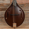 Collings MT A-Style Mandolin Sheraton Brown Satin Folk Instruments / Mandolins