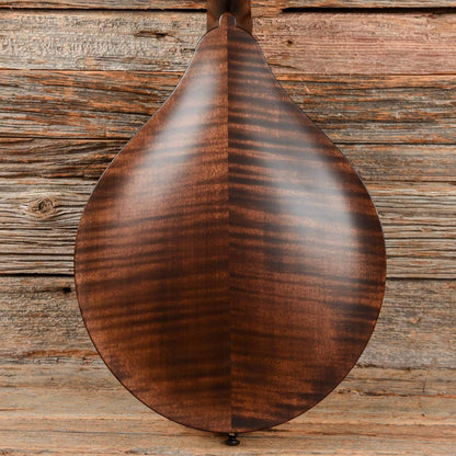 Collings MT A-Style Mandolin Sheraton Brown Satin Folk Instruments / Mandolins