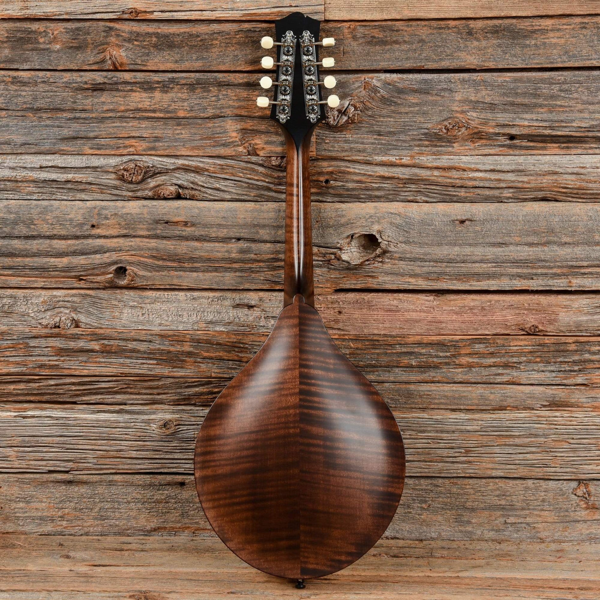 Collings MT A-Style Mandolin Sheraton Brown Satin Folk Instruments / Mandolins