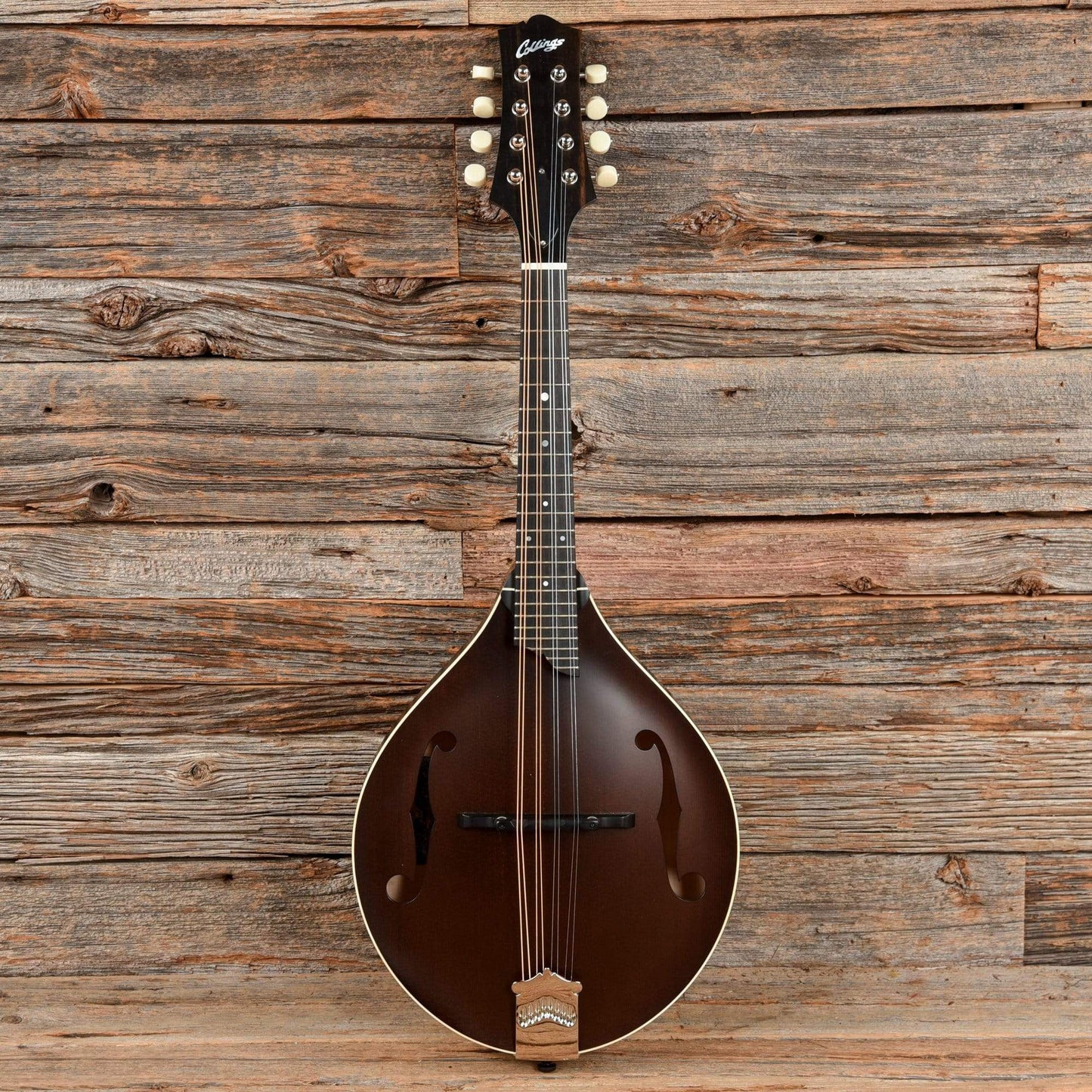 Collings MT A-Style Mandolin Sheraton Brown Satin Folk Instruments / Mandolins