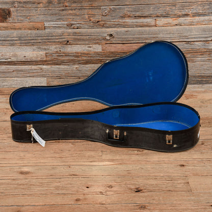 Coral Firefly  1960s Electric Guitars / Hollow Body