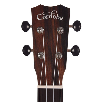 Cordoba 21T-CE Tenor Cutaway Acoustic/Electric Ukulele Exotic Striped Ebony Acoustic Guitars / Built-in Electronics