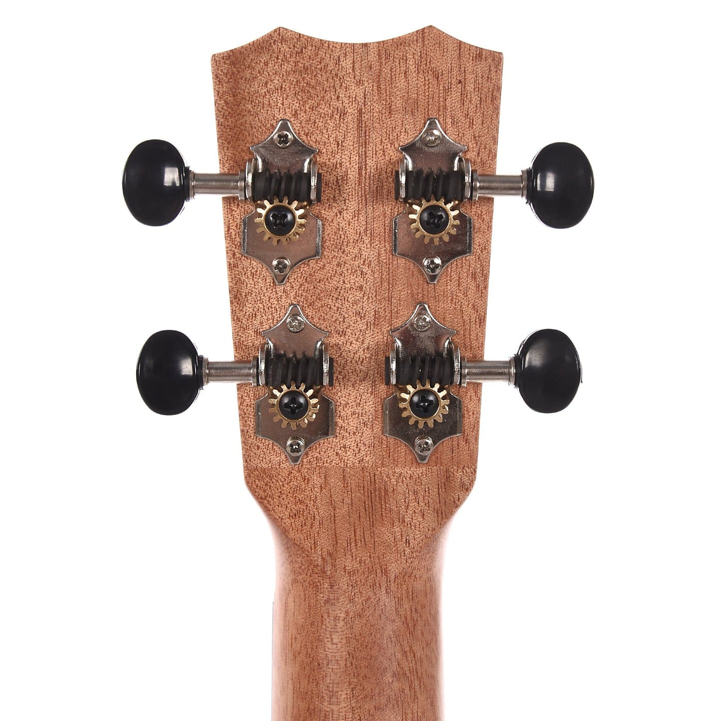 Cordoba 21T-CE Tenor Cutaway Acoustic/Electric Ukulele Exotic Striped Ebony Acoustic Guitars / Built-in Electronics