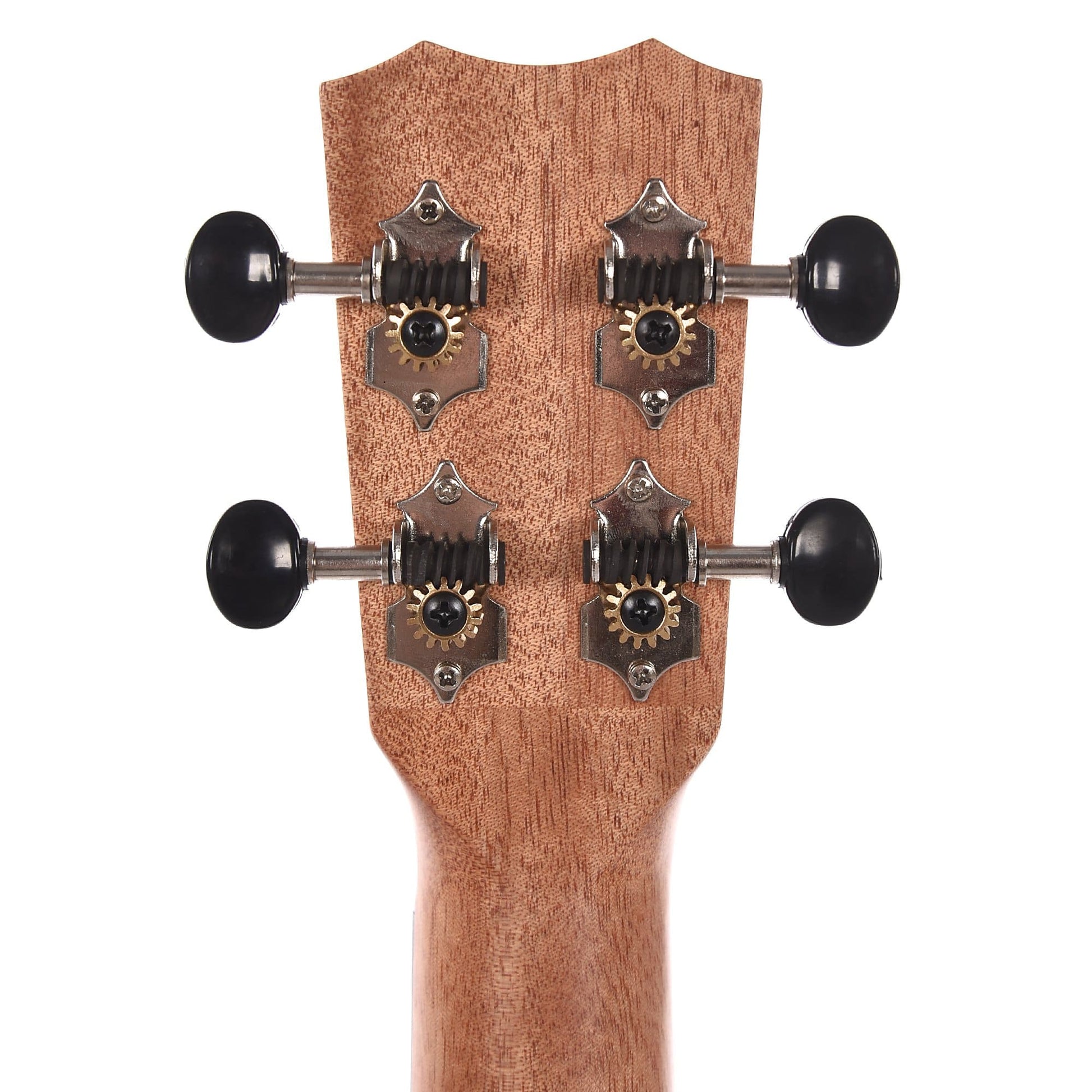 Cordoba 21T-CE Tenor Cutaway Acoustic/Electric Ukulele Exotic Striped Ebony Acoustic Guitars / Built-in Electronics