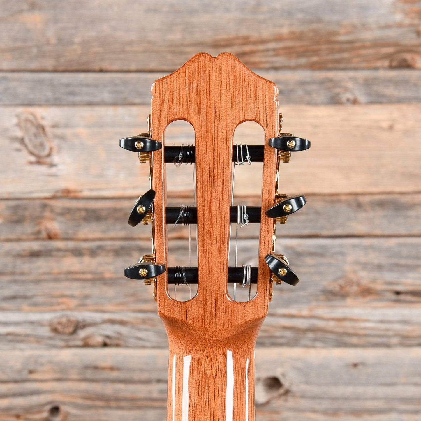 Cordoba 55FCE Negra Natural Acoustic Guitars / Classical