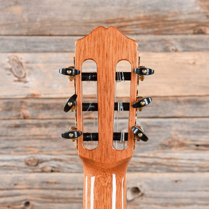 Cordoba 55FCE Negra Natural Acoustic Guitars / Classical