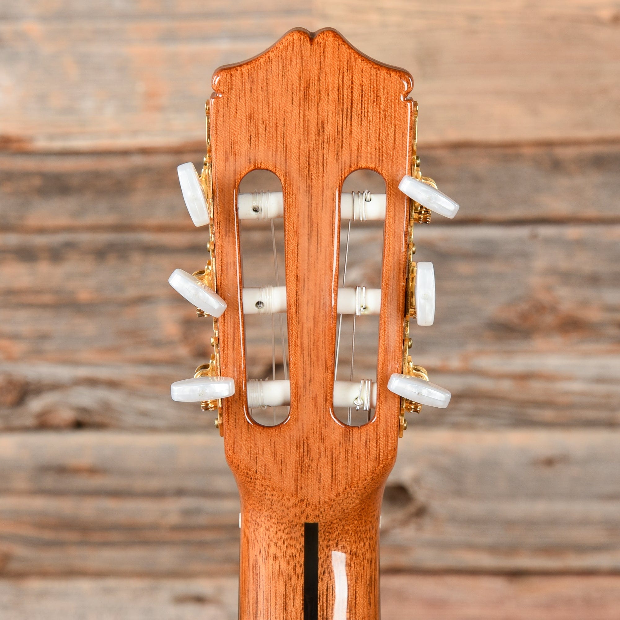 Cordoba 55FCE Thinbody Classical Natural Acoustic Guitars / Classical