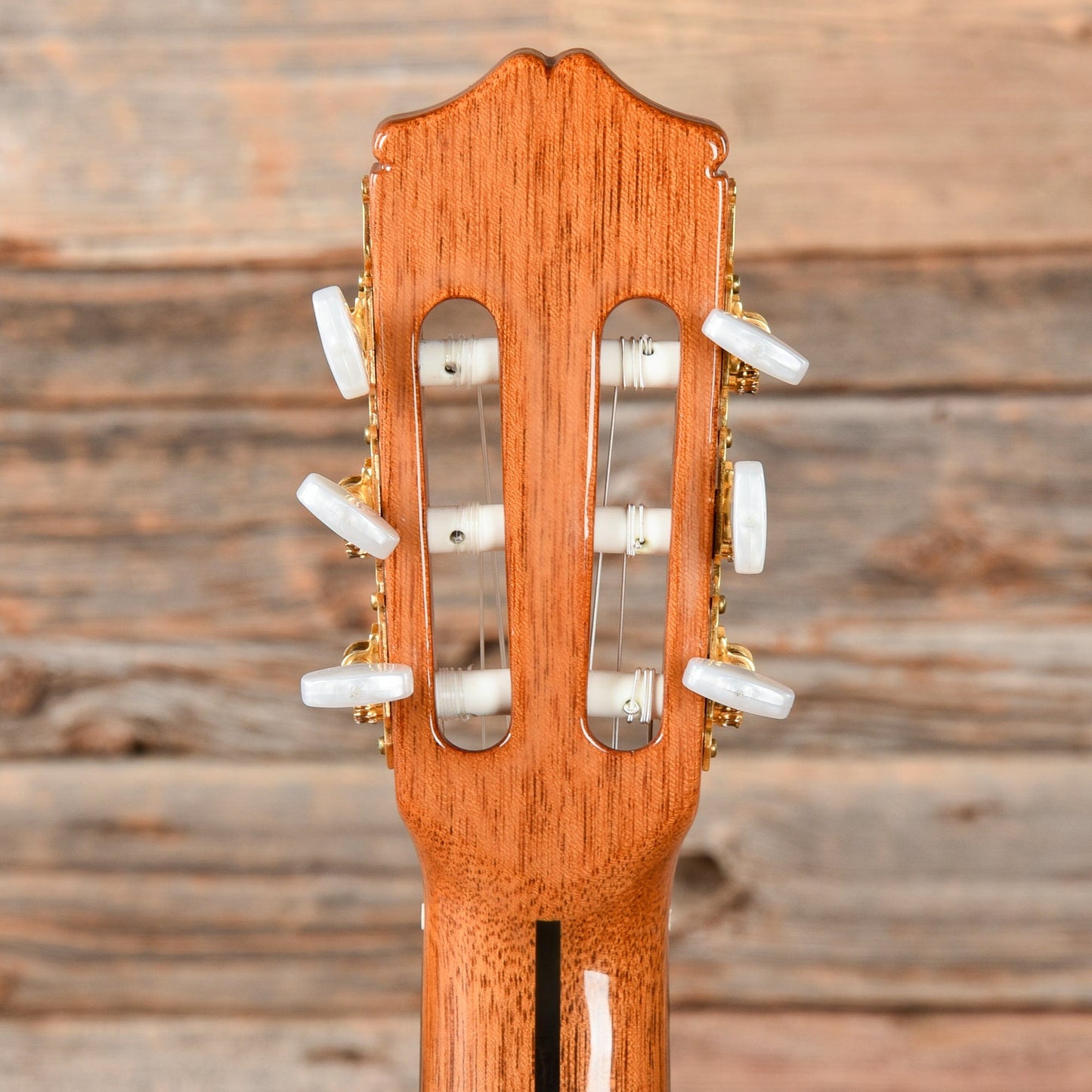 Cordoba 55FCE Thinbody Classical Natural Acoustic Guitars / Classical