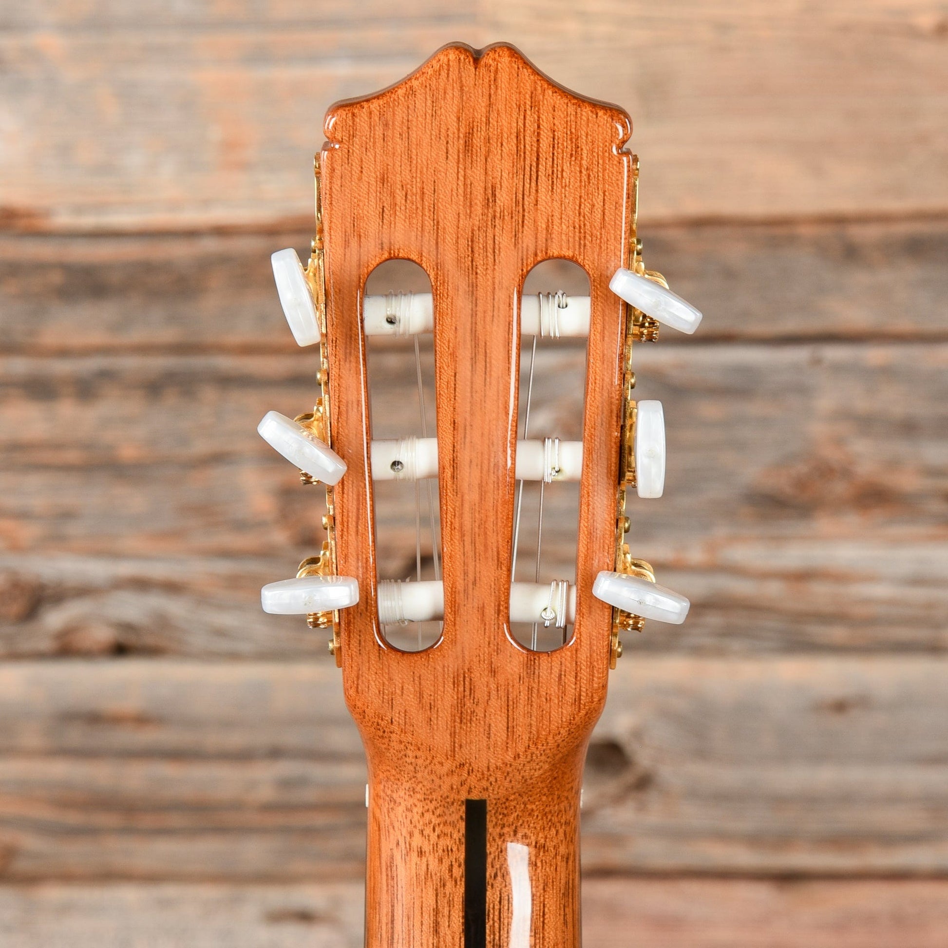 Cordoba 55FCE Thinbody Classical Natural Acoustic Guitars / Classical