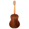 Cordoba C-9 Cedar Acoustic Guitars / Classical