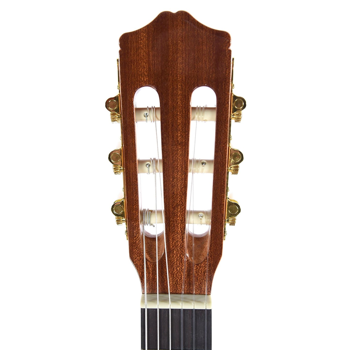 Cordoba C1 Protege 3/4 Size Acoustic Guitars / Classical