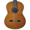 Cordoba C10 Cedar Classical Guitar Acoustic Guitars / Classical