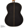 Cordoba C10 Cedar Classical Guitar Acoustic Guitars / Classical