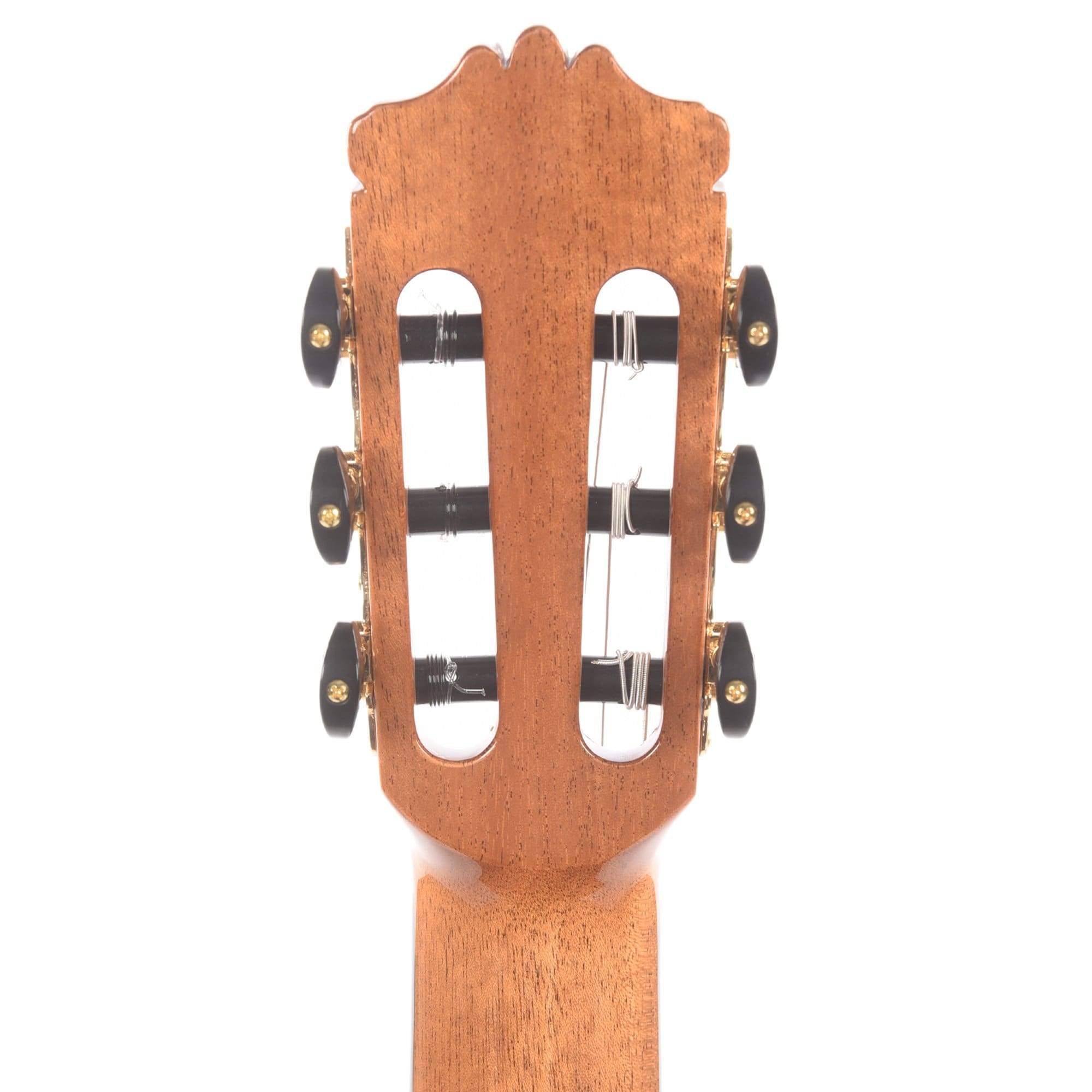 Cordoba C10 Cedar & Indian Rosewood Acoustic Guitars / Classical