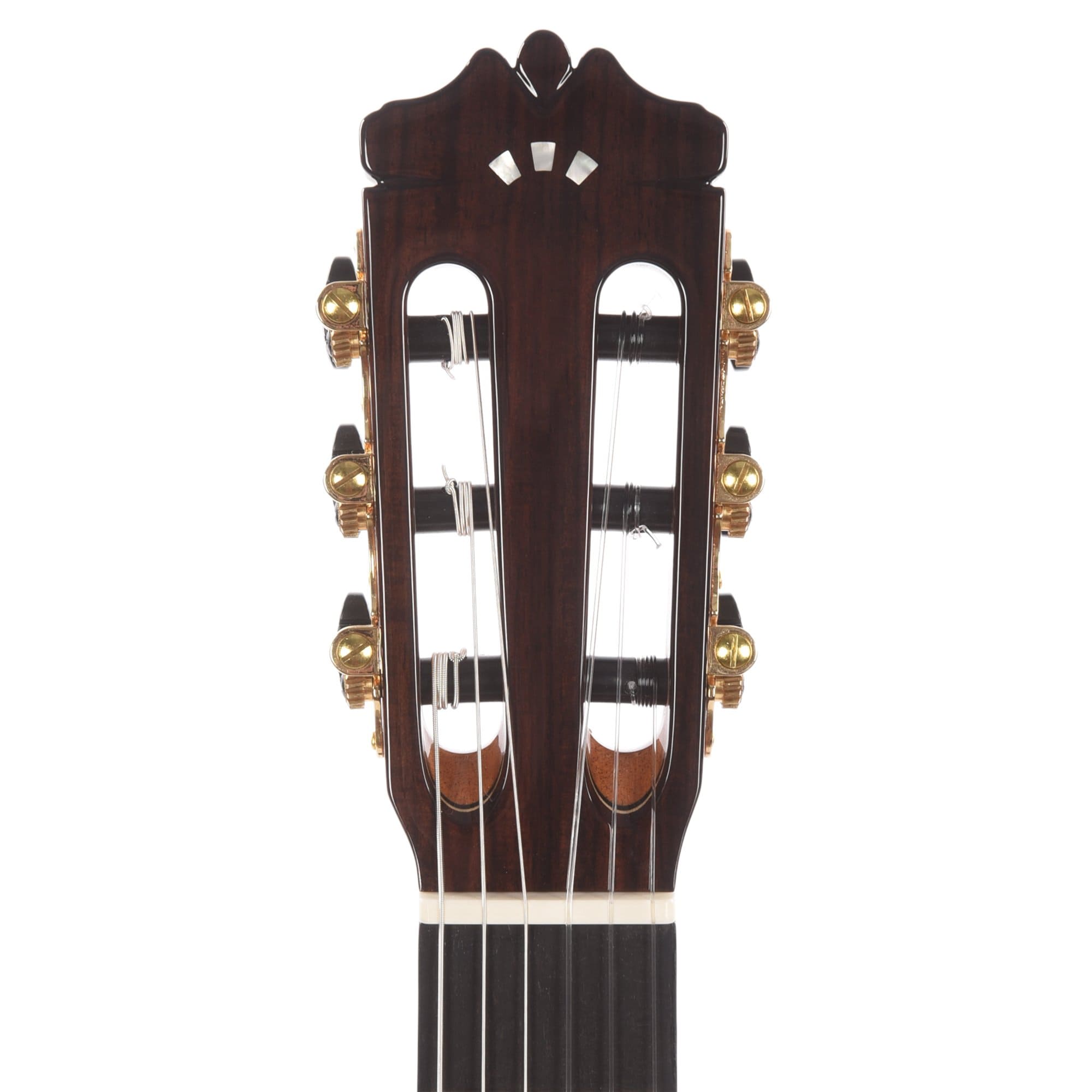 Cordoba C10 Cedar & Indian Rosewood Acoustic Guitars / Classical