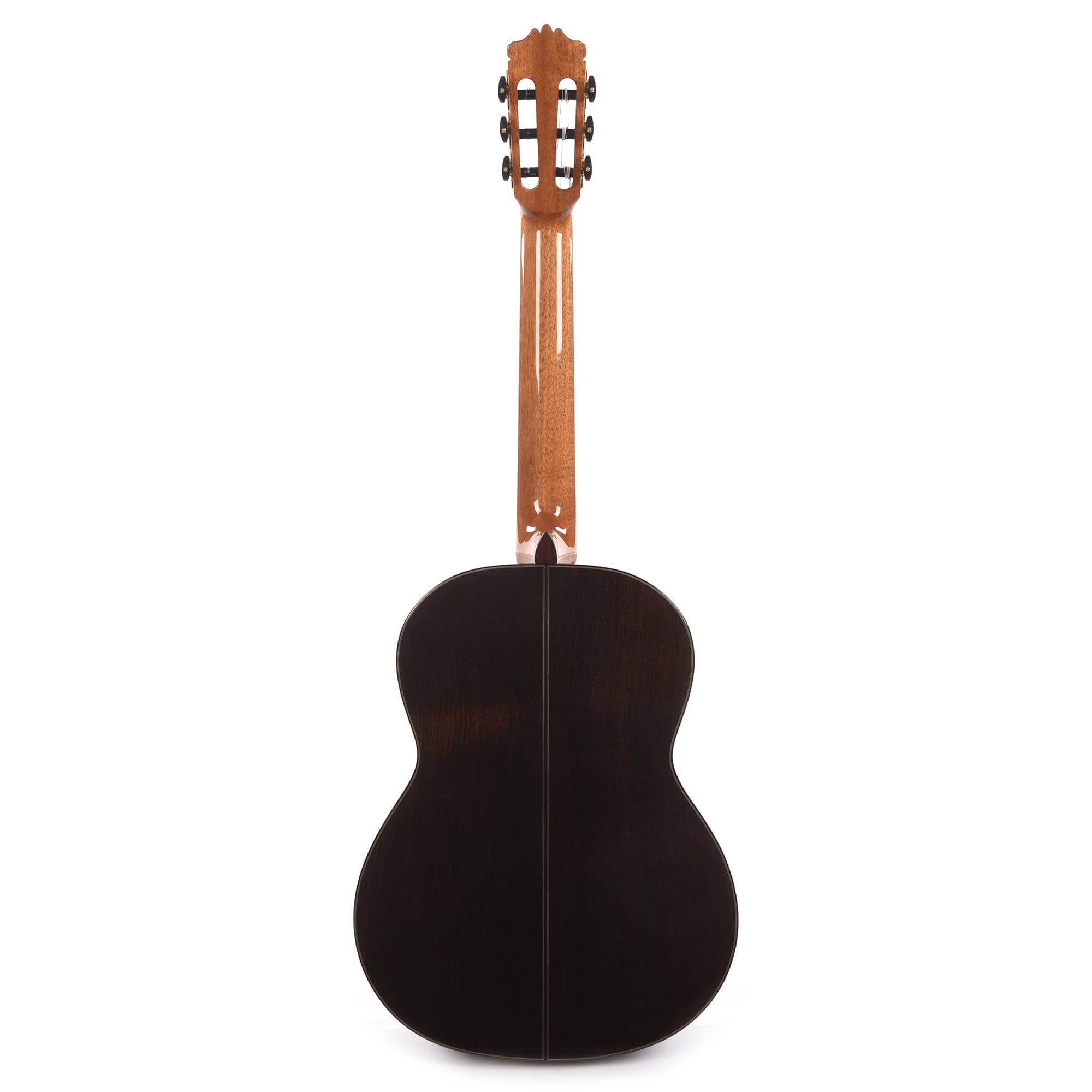 Cordoba C10 Cedar & Indian Rosewood Acoustic Guitars / Classical