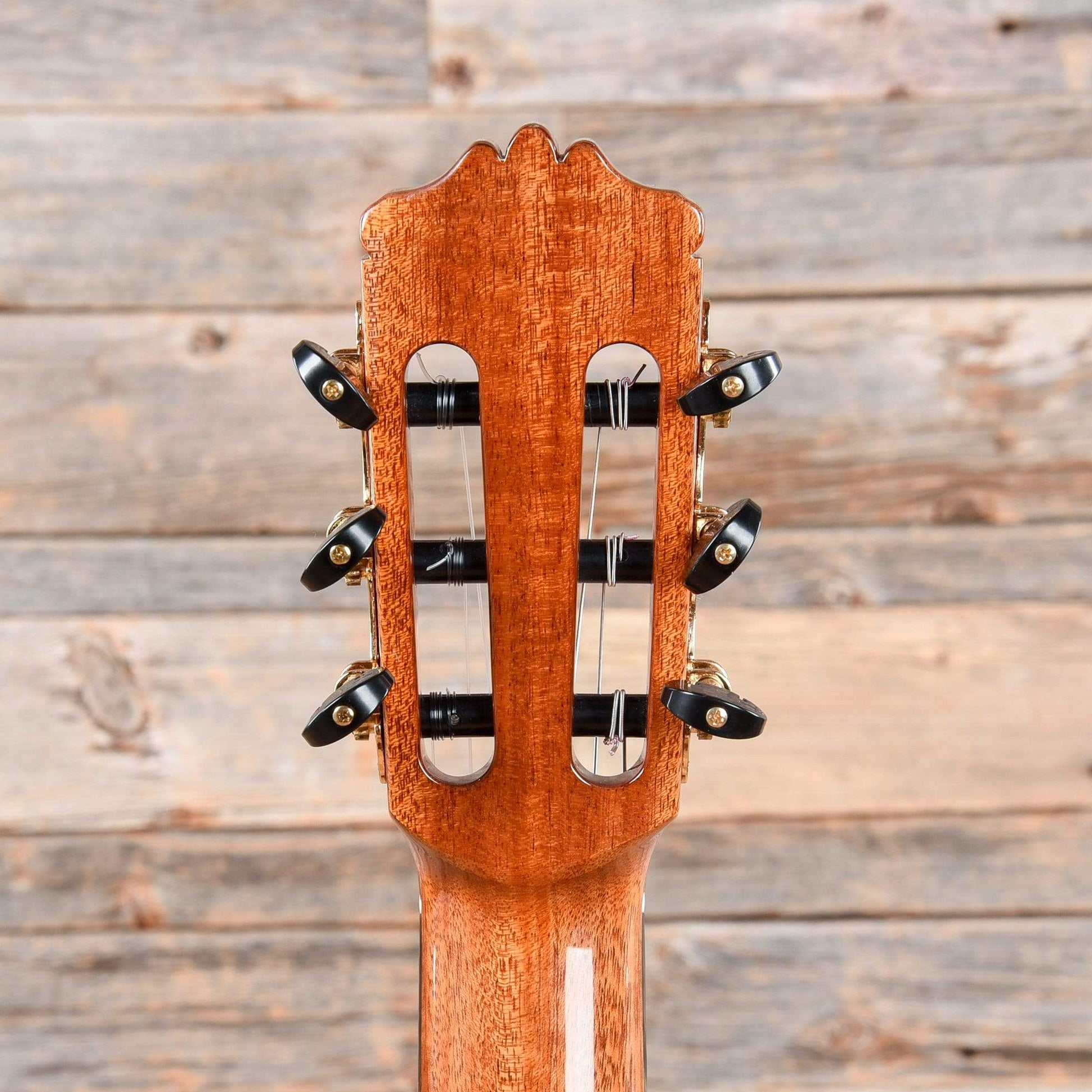 Cordoba C10 Cedar & Indian Rosewood Acoustic Guitars / Classical