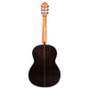 Cordoba C10 Spruce & Indian Rosewood Acoustic Guitars / Classical