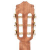 Cordoba C5-CE Classical Natural w/Cutaway & Pickup Acoustic Guitars / Classical