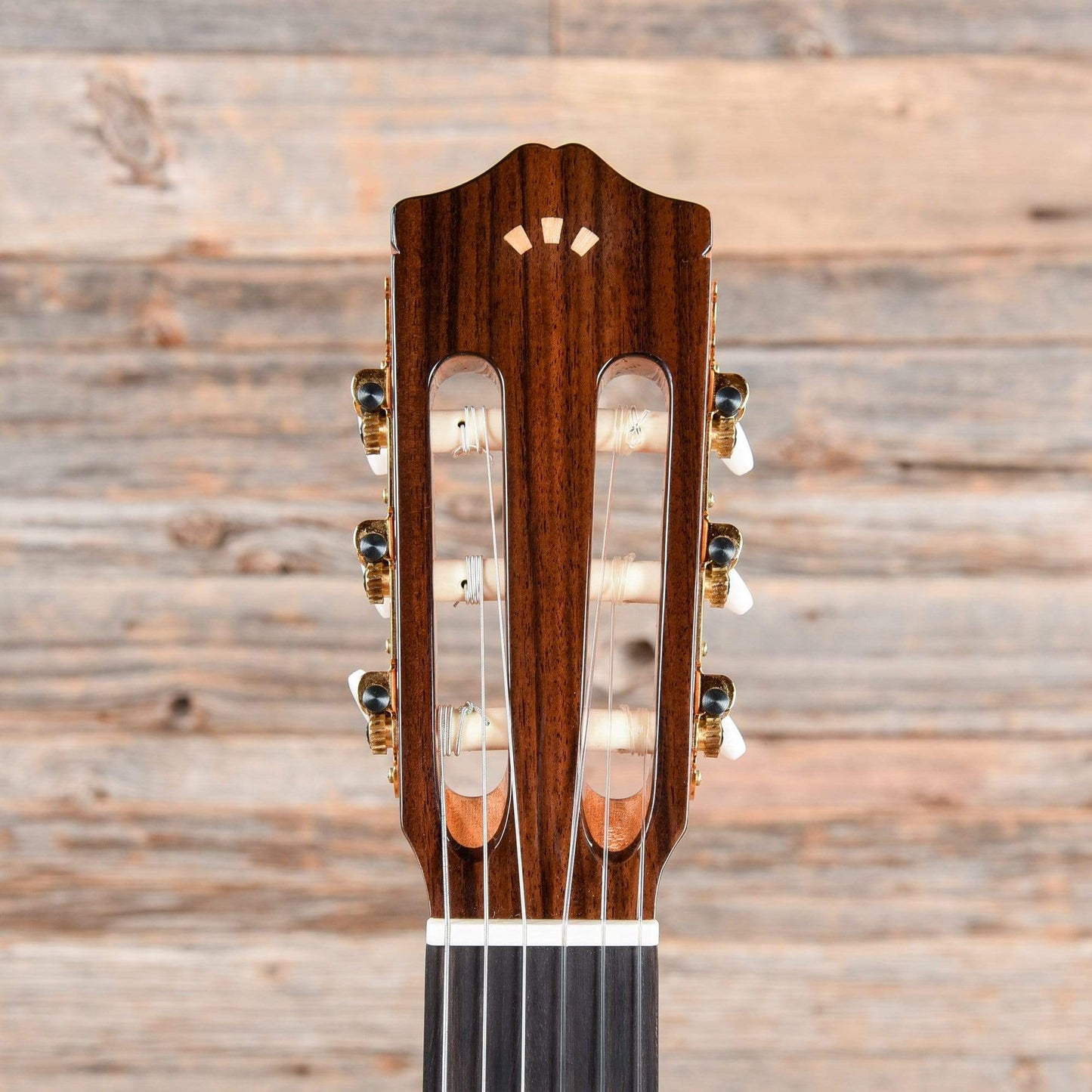 Cordoba C5 Cedar & Mahogany Classical Guitar Acoustic Guitars / Classical