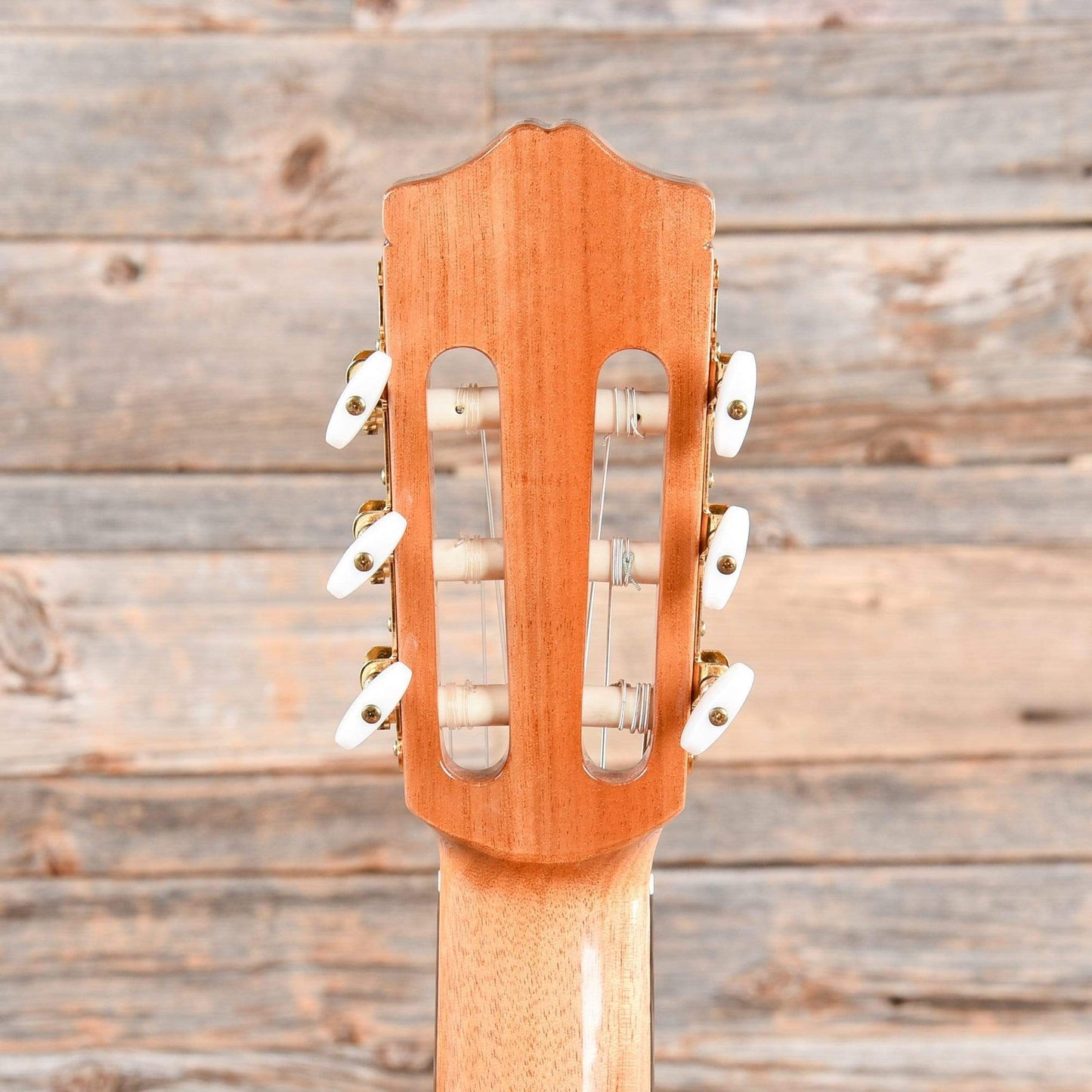 Cordoba C5 Cedar & Mahogany Classical Guitar Acoustic Guitars / Classical