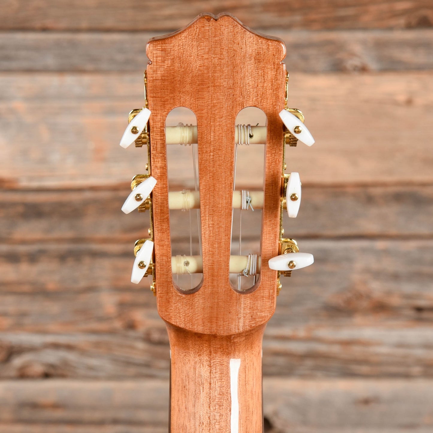 Cordoba C5-CET Limited Natural Acoustic Guitars / Classical