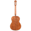 Cordoba C5 Limited Flame Mahogany Classical Guitar Acoustic Guitars / Classical