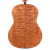 Cordoba C5 Limited Flame Mahogany Classical Guitar Acoustic Guitars / Classical