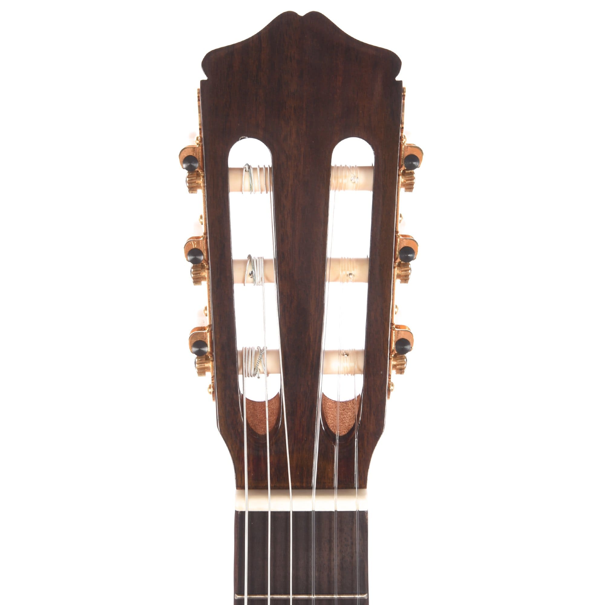 Cordoba C5 Limited Flame Mahogany Classical Guitar Acoustic Guitars / Classical
