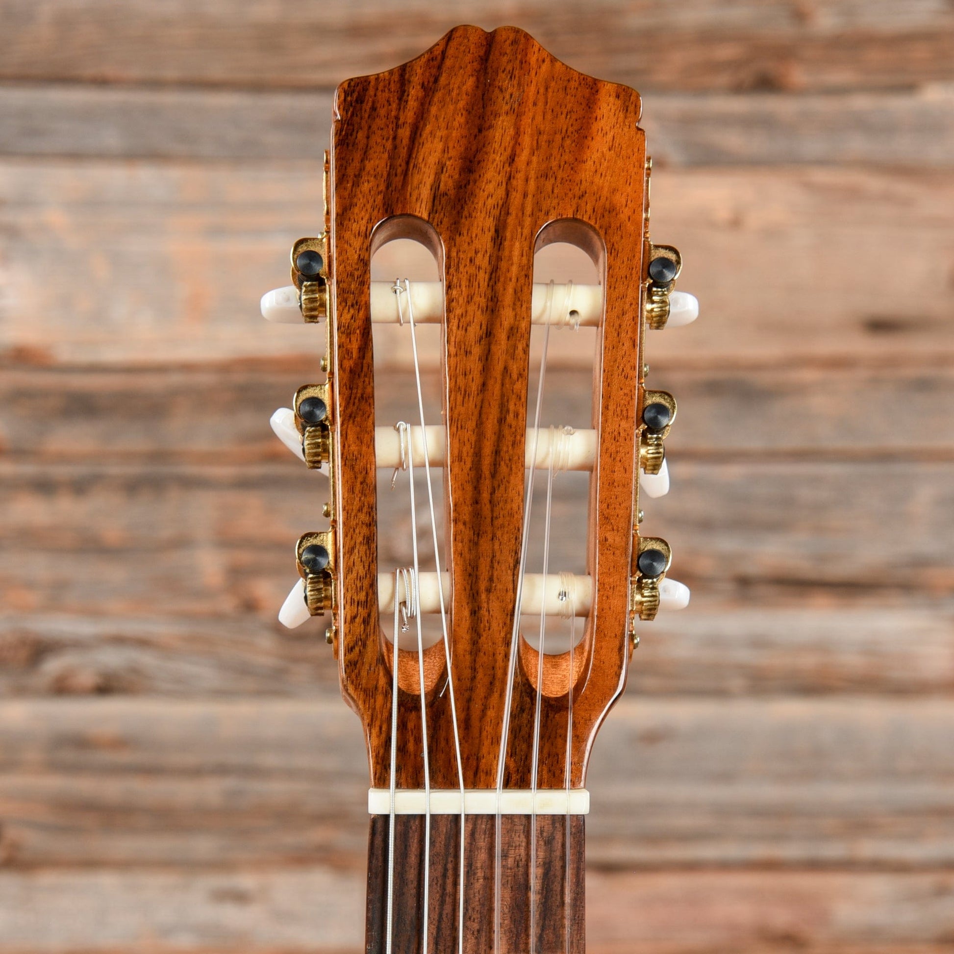 Cordoba Dolce 7/8-Size Classical Natural Acoustic Guitars / Classical