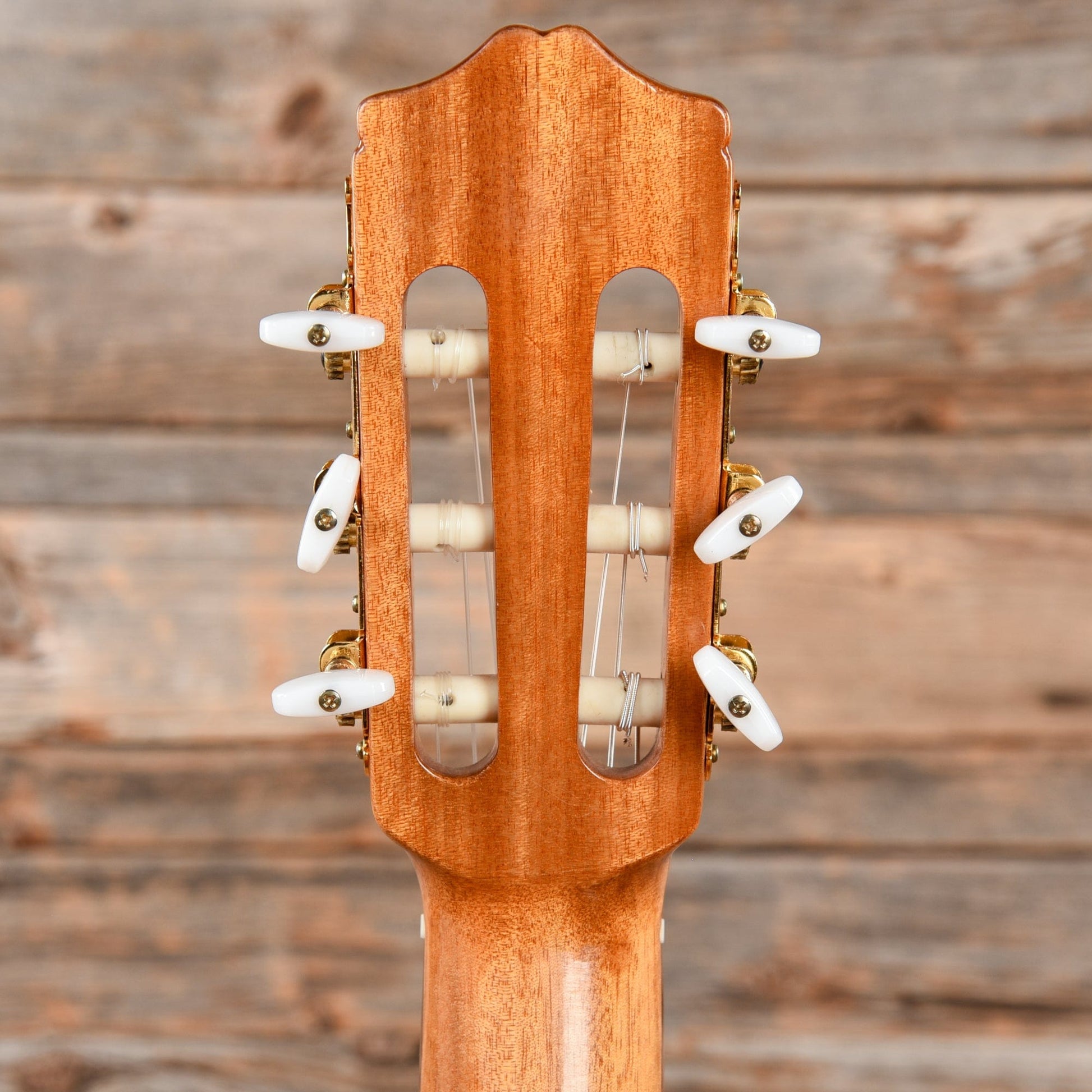 Cordoba Dolce 7/8-Size Classical Natural Acoustic Guitars / Classical