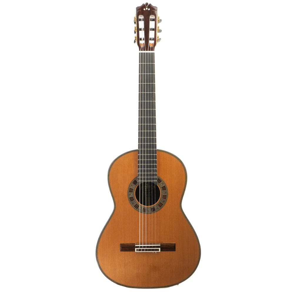Cordoba Double Top 25th Anniversary Cedar/Palo Escrito Classical Natural Acoustic Guitars / Classical