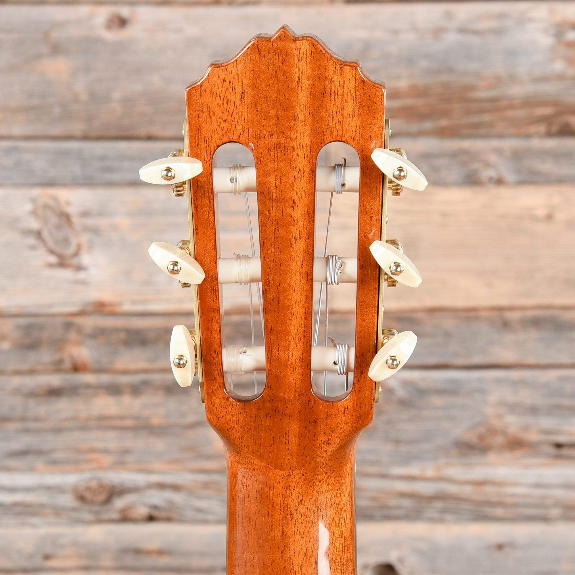 Cordoba Esteso Natural Acoustic Guitars / Classical