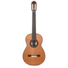 Cordoba Esteso Red Cedar/Pau Ferro Natural Acoustic Guitars / Classical