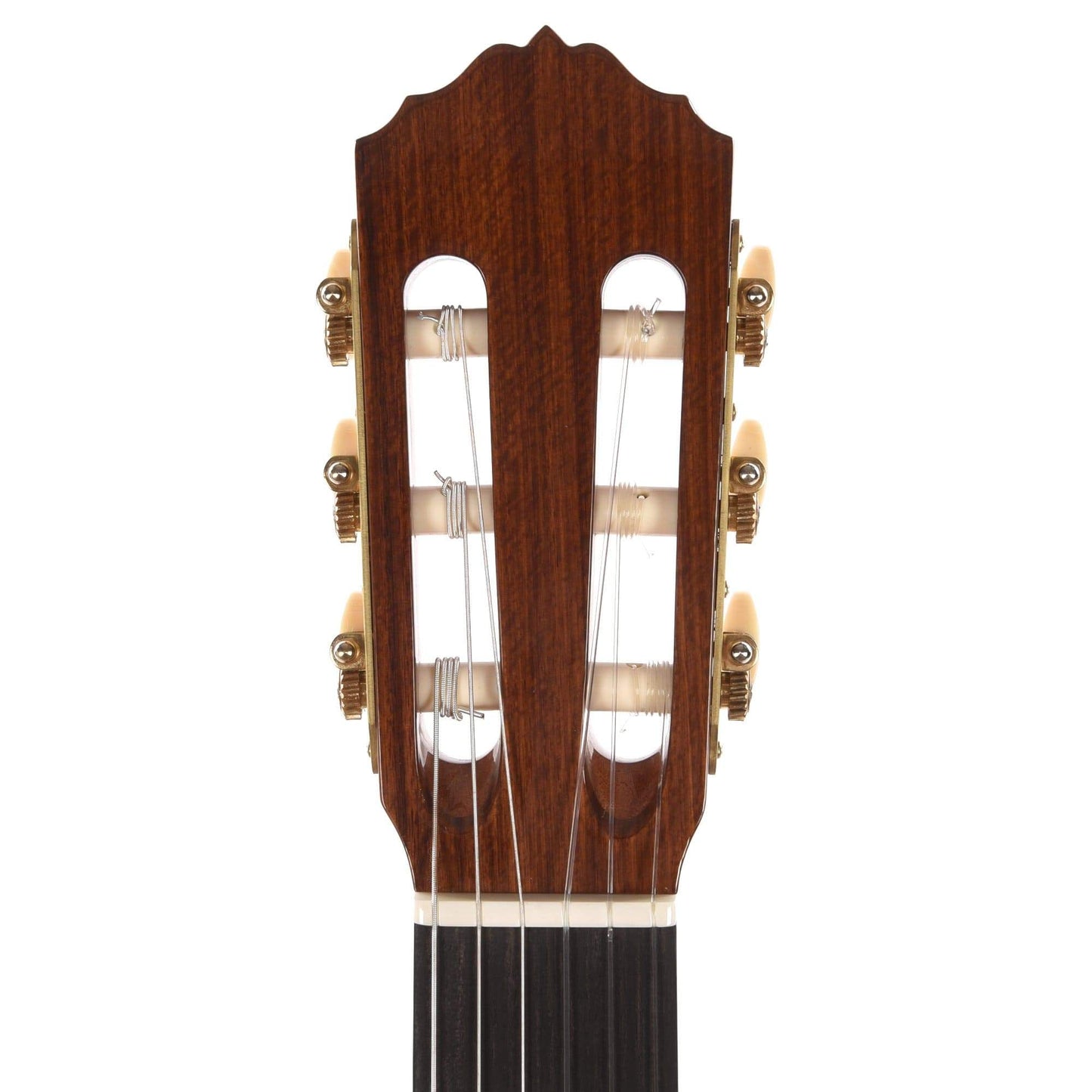 Cordoba Esteso Red Cedar/Pau Ferro Natural Acoustic Guitars / Classical