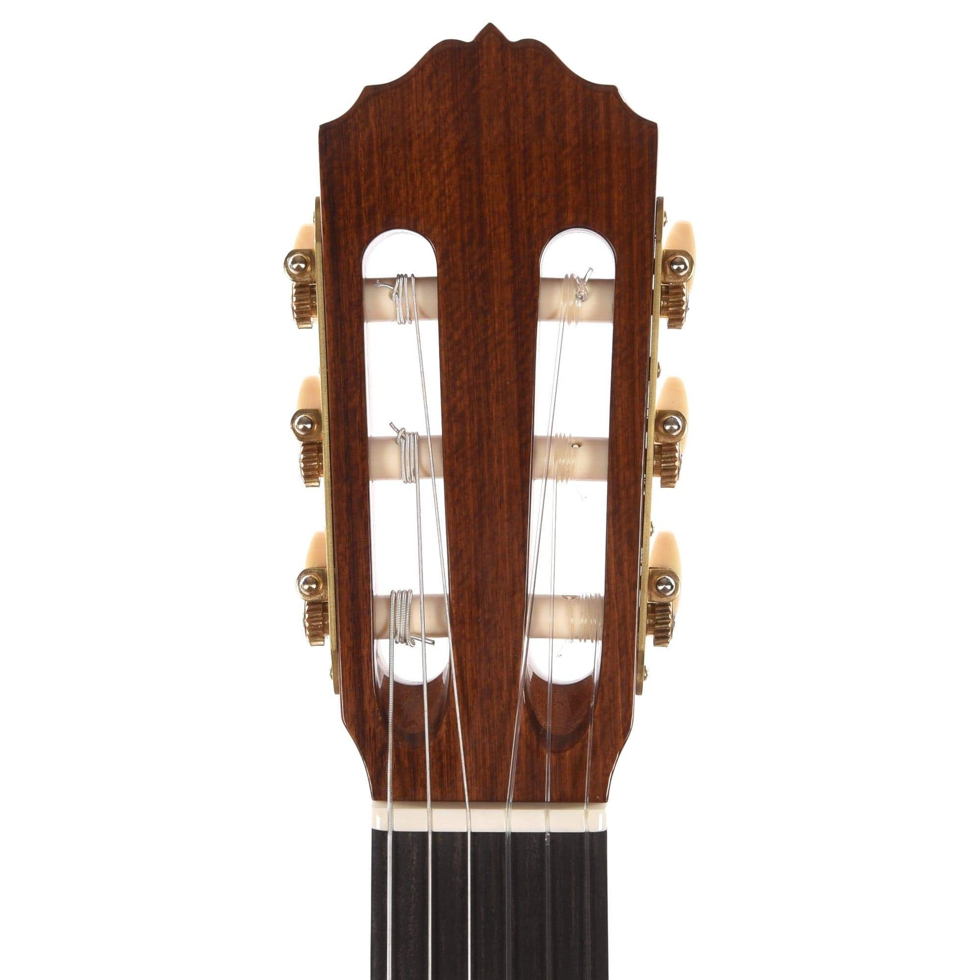 Cordoba Esteso Red Cedar/Pau Ferro Natural Acoustic Guitars / Classical