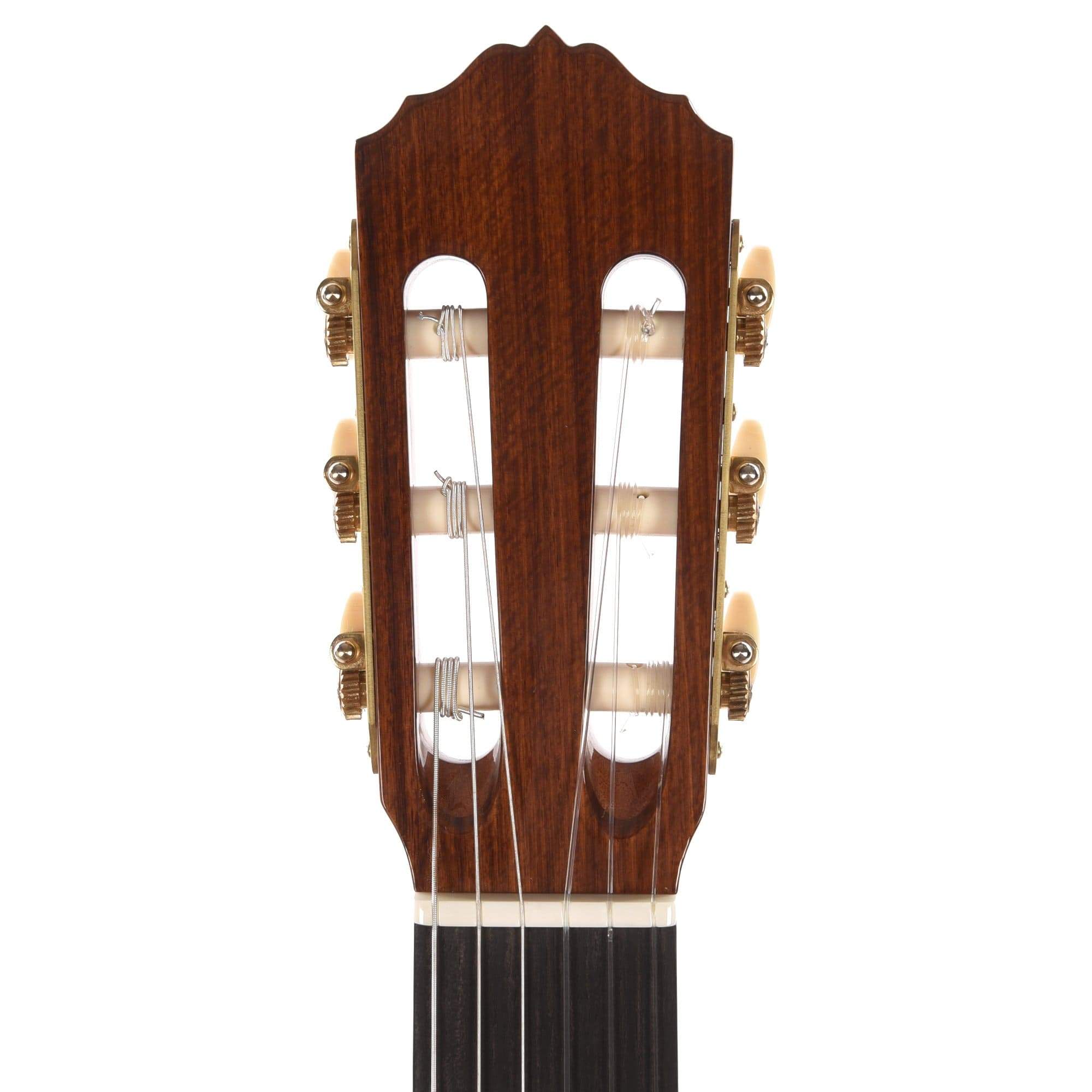 Cordoba Esteso Red Cedar/Pau Ferro Natural Acoustic Guitars / Classical