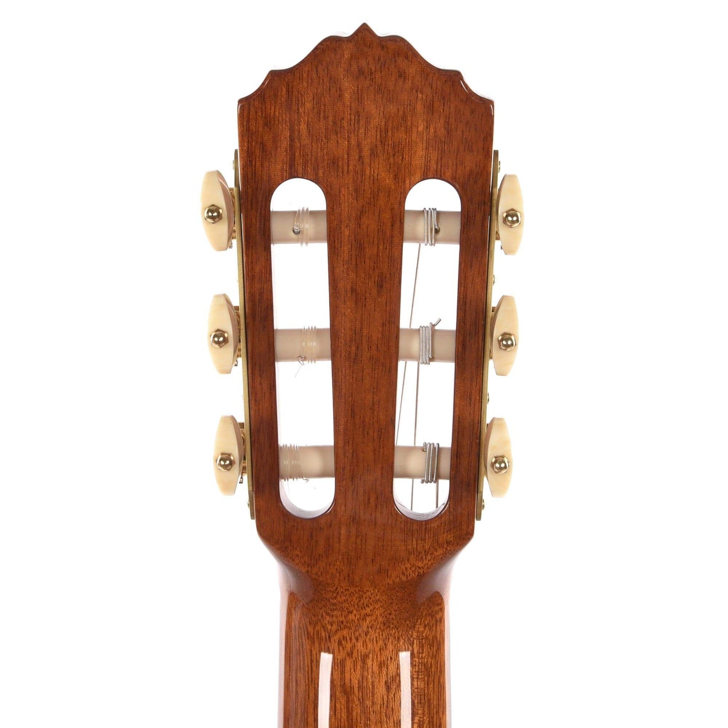 Cordoba Esteso Red Cedar/Pau Ferro Natural Acoustic Guitars / Classical