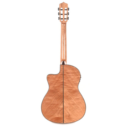 Cordoba Fusion 12 Maple Classical Guitar Acoustic Guitars / Classical