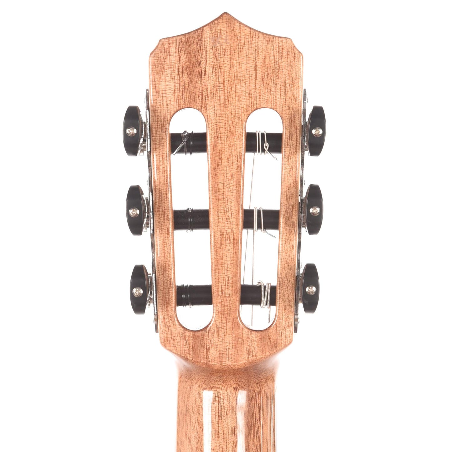 Cordoba Fusion 12 Maple Classical Guitar Acoustic Guitars / Classical