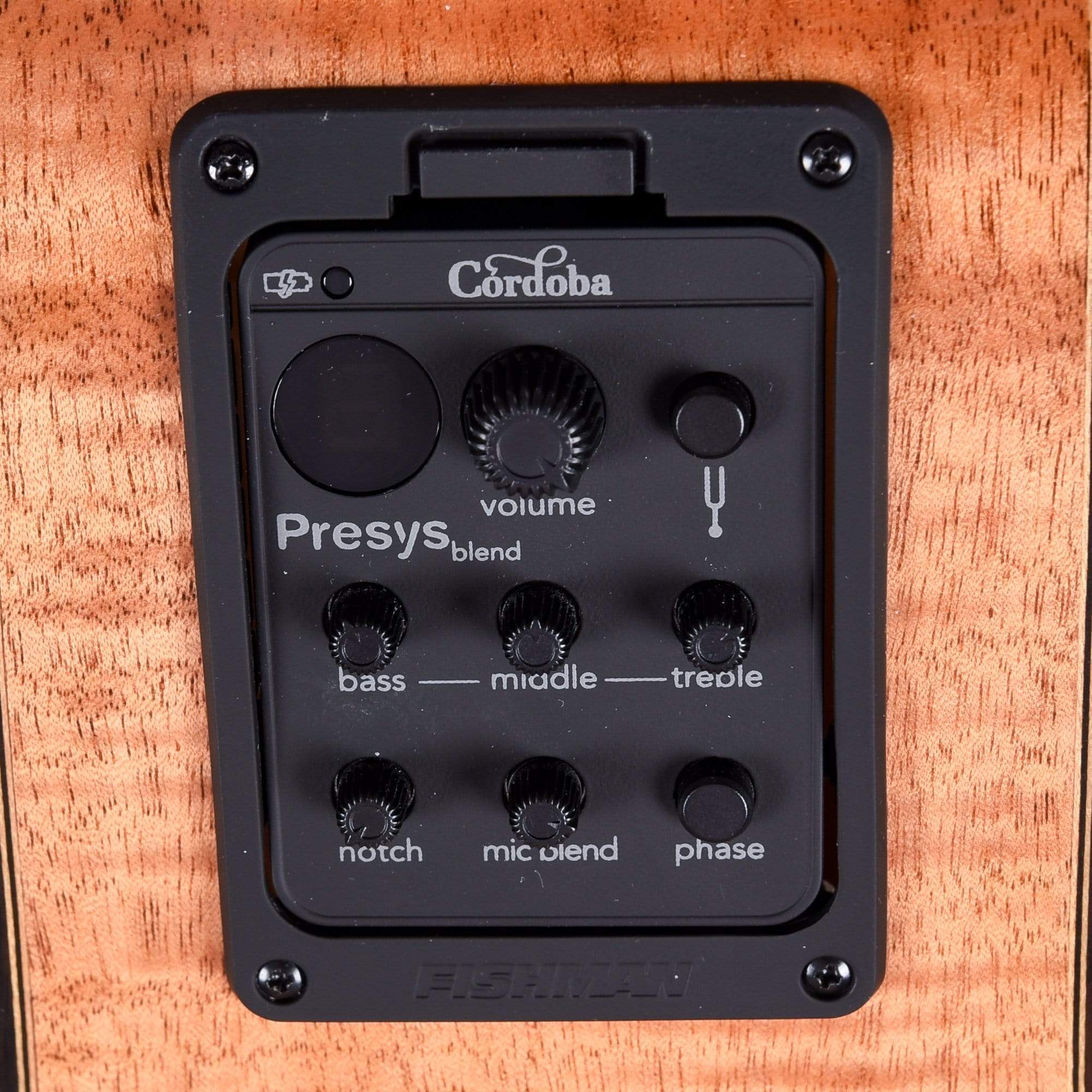 Cordoba Fusion 12 Maple Classical Guitar Acoustic Guitars / Classical