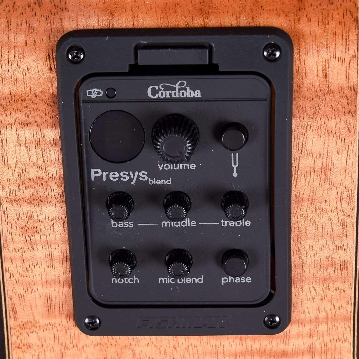 Cordoba Fusion 12 Maple Classical Guitar Acoustic Guitars / Classical