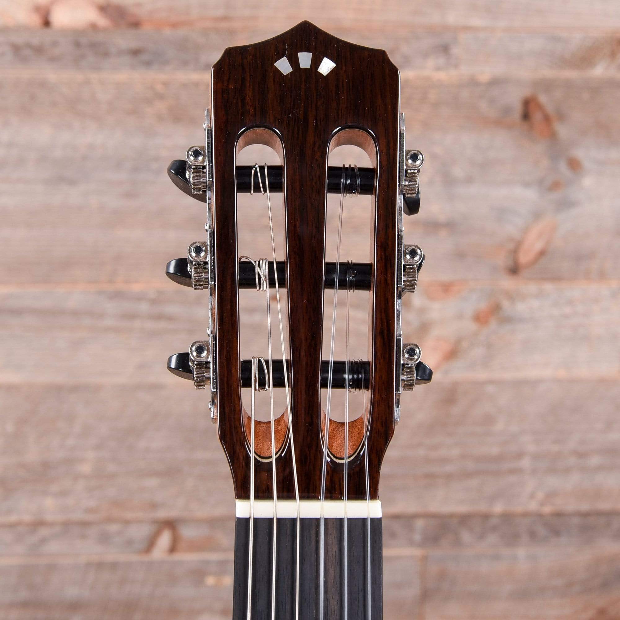 Cordoba Fusion 12 Maple Classical Guitar Acoustic Guitars / Classical